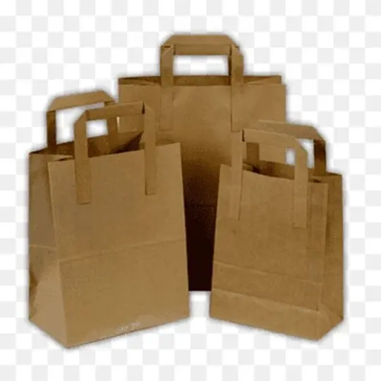Shopping Paper Bag